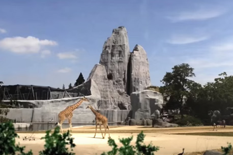 Zoo de Paris gratuit jusqu’à 12 ans
