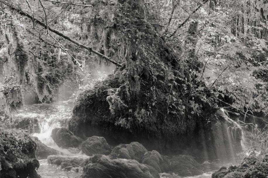 Défaire Refaire Rêver : une exposition gratuite pour relire 20 ans de photographie engagée