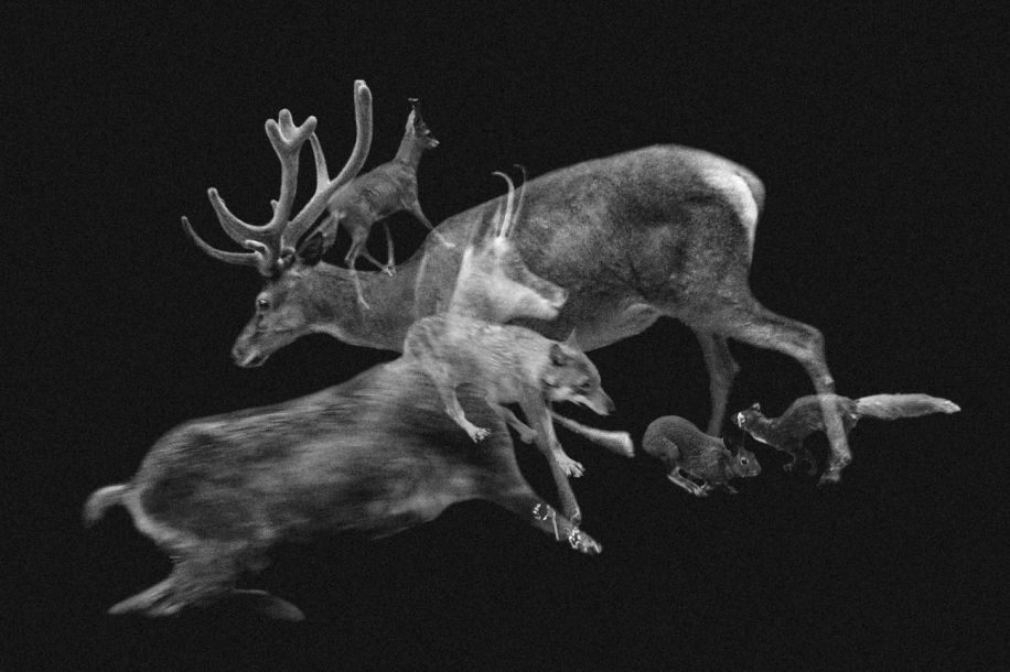 Défaire Refaire Rêver : une exposition gratuite pour relire 20 ans de photographie engagée