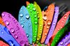 bon plan 10 techniques pour etre heureux bon plan 10 techniques pour etre heureux