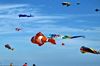 bon plan loisir fun 24h cerf volant bon plan loisir fun 24h cerf volant