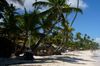 bon plan voyage pas cher punta cana bon plan voyage pas cher punta cana