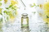 cosmetique bio recette cosmetique bio recette