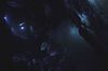 ruee vers la perdition ruee vers la perdition