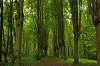 bon plan loisir paris visite parc bon plan loisir paris visite parc