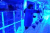 bar de glace paris bar de glace paris