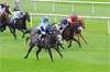 course chevaux course chevaux