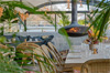polpo restaurant polpo restaurant