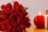 fleurs de nicolas roses fleurs de nicolas roses