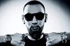 la fouine la fouine