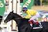 juddmonte juddmonte