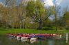barque bois de vincennes barque bois de vincennes