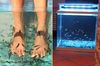 bon plan bien etre beaute fish pedicure paris bon plan bien etre beaute fish pedicure paris