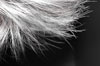 bons plans bien etre coiffure paris bons plans bien etre coiffure paris