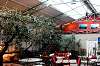 bon plan restaurant a volonte brunch jazz bon plan restaurant a volonte brunch jazz