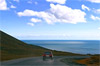 road movie road movie