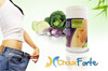 choux forte complement choux forte complement