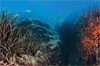 conference gratuite paris institut oceanographique 2015 conference gratuite paris institut oceanographique 2015