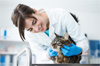 veterinaire pas cher spa veterinaire pas cher spa