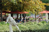 cafe diane tuileries paris cafe diane tuileries paris