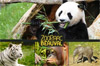 zooparc beauval pas cher zooparc beauval pas cher