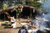 immersion nature stage survie immersion nature stage survie