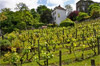 billet entree musee montmartre billet entree musee montmartre