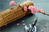 calligraphie chinoise cours gratuit calligraphie chinoise cours gratuit