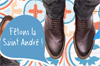 saint andre promos saint andre promos
