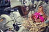 roule ma poule velib roule ma poule velib