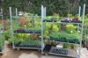vente plante verte pas cher paris vente plante verte pas cher paris