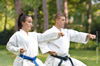 cours de karate gratuit cours de karate gratuit