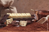 degustation gratuite de chocolat degustation gratuite de chocolat