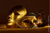 soiree gratuite curiosite soiree gratuite curiosite