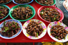 degustation gratuite d insectes degustation gratuite d insectes