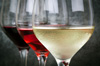 apprendre a deguster le vin bar a vin paris apprendre a deguster le vin bar a vin paris