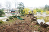 jardin d acclimatation entree gratuit jardin d acclimatation entree gratuit