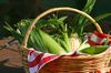 bons plans paniers bio pas chers bons plans paniers bio pas chers